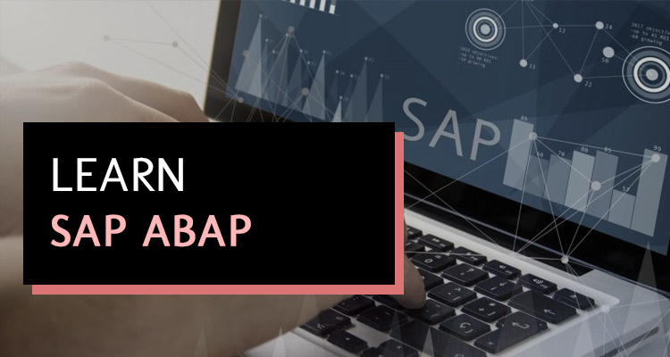 SAP&reg; ABAP Course for The Beginners