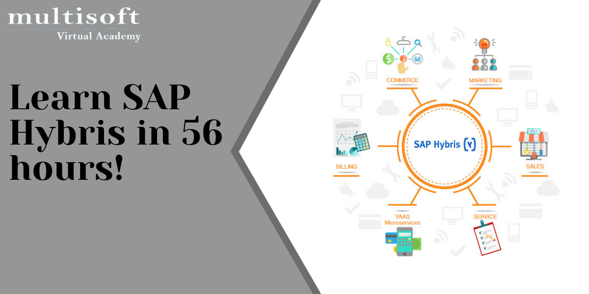 Learn SAP Hybris in 56 hours!