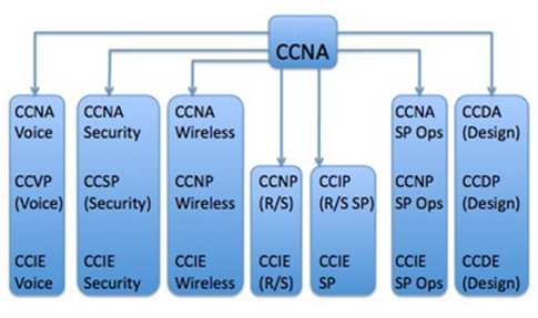 Career Paths after Passing CCNA