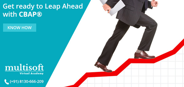 Get Certified in CBAP to build a career as a successful Business Analyst