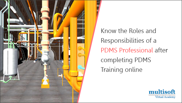 Know the Roles and Responsibilities of a PDMS Professional after completing PDMS training online