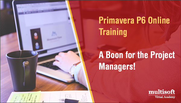 Primavera P6 Online Training - A Boon for the Project Managers!
