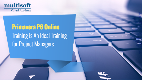 Primavera P6 Online Training is An Ideal Training for Project Managers