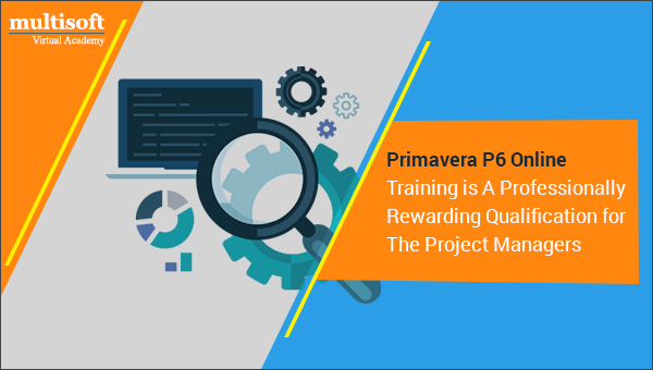 Primavera P6 Online Training is A Professionally Rewarding Qualification for The Project Managers