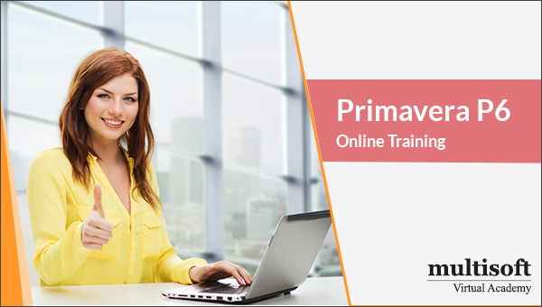 Primavera P6 Online Training Can Pave The Way for Success in The Project Management Career!