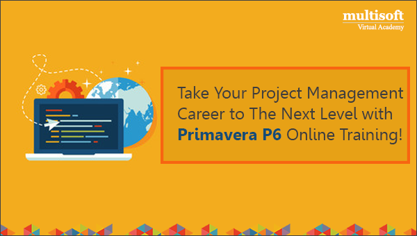 Take Your Project Management Career to The Next Level with Primavera P6 Online Training!