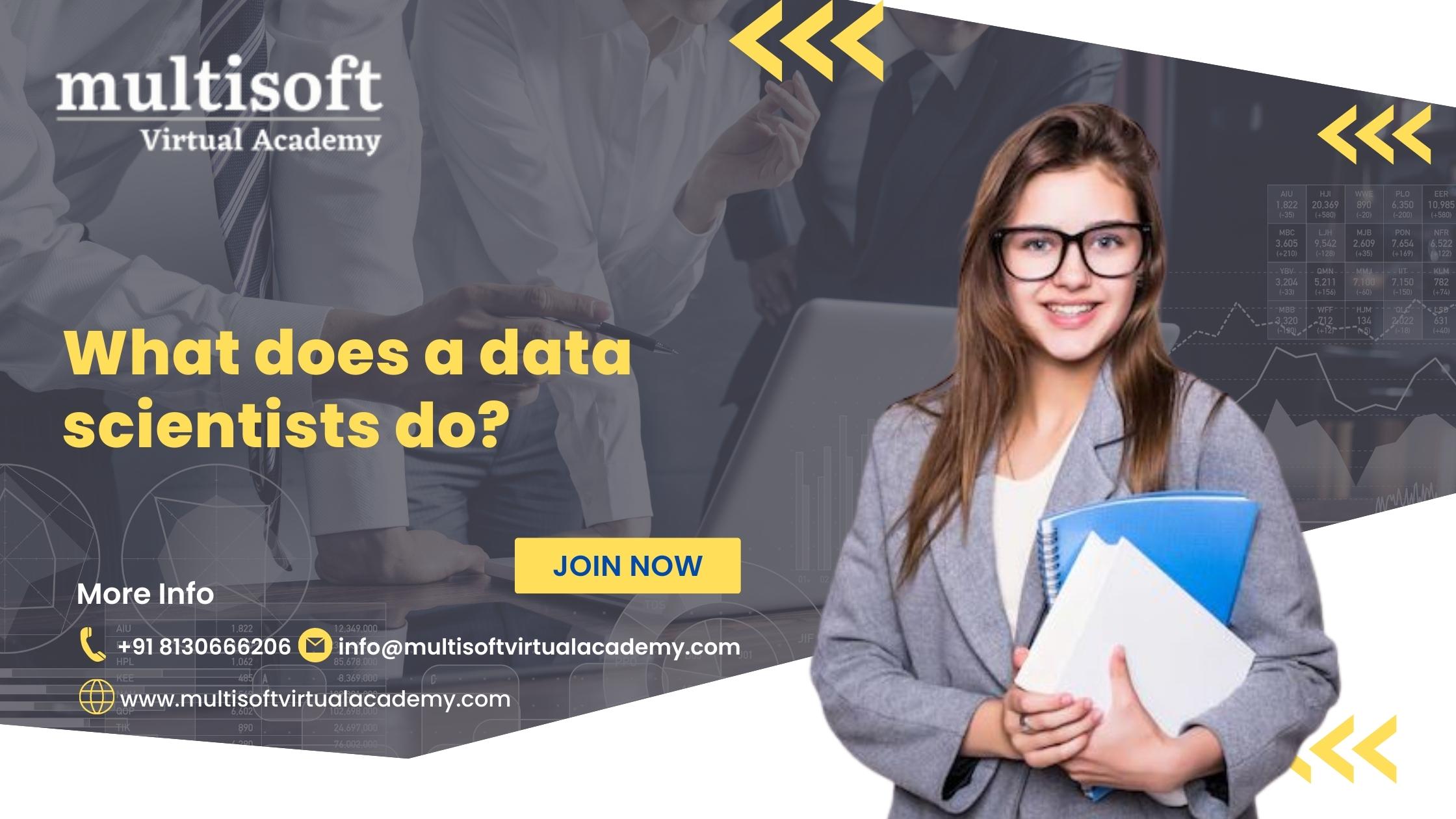 What does a data scientist do?