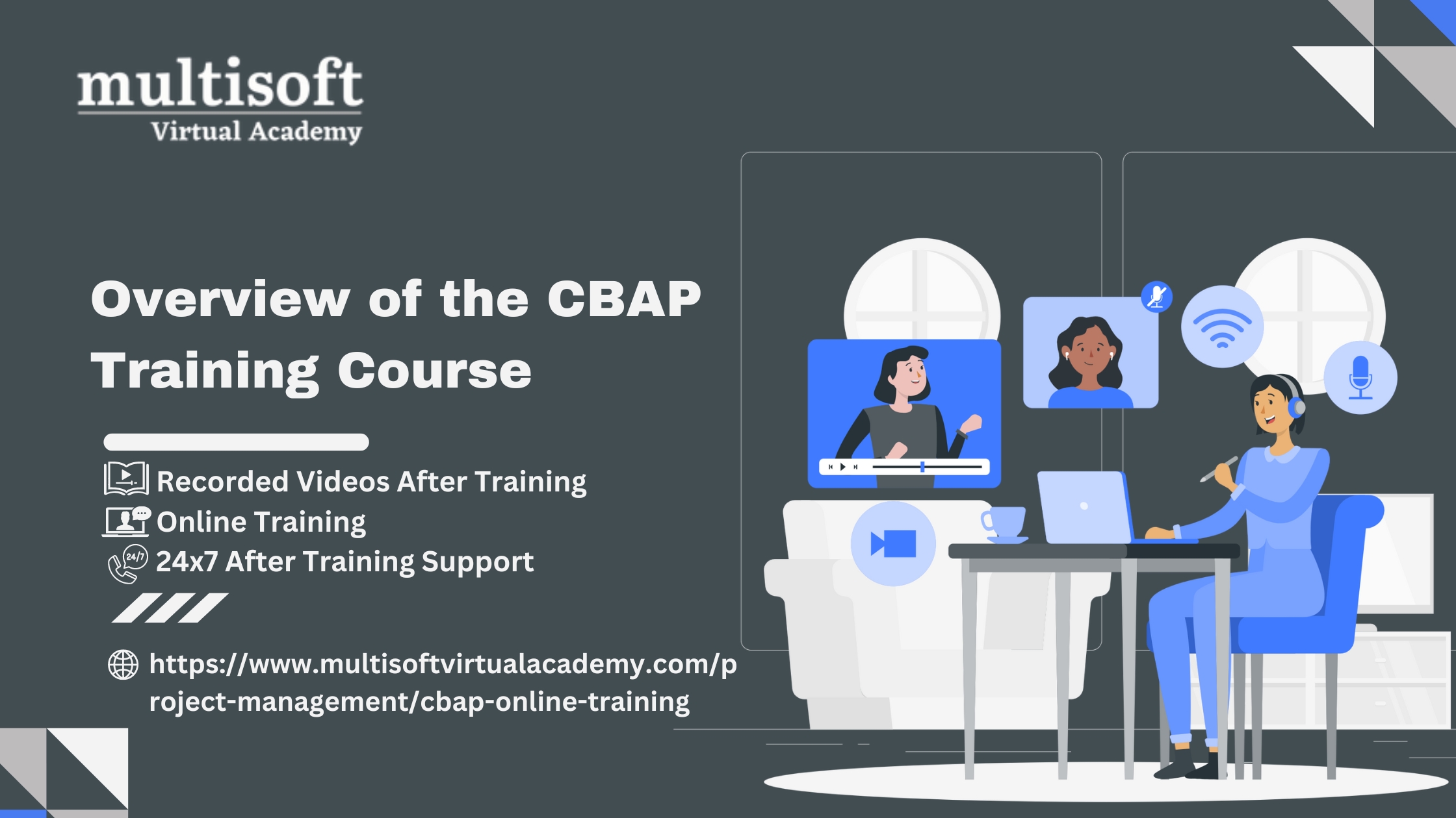Overview of the CBAP Training Course