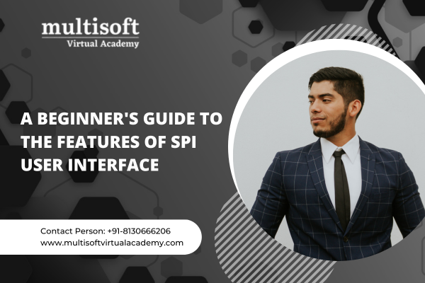 A Beginner's Guide to the Features of SPI User Interface