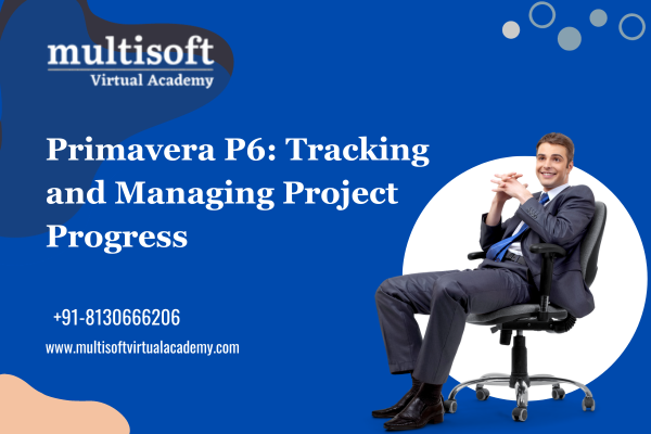 Primavera P6: Tracking and Managing Project Progress