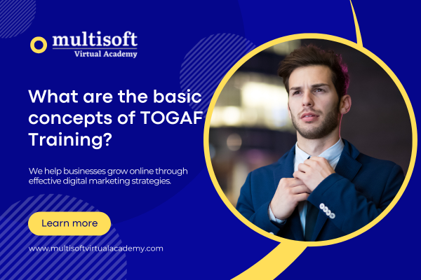 What are the basic concepts of TOGAF Training?