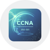 CCNA Exam v1.0 (200-301)