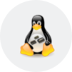 Linux Kernel Driver Development