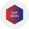 SAP BRIM