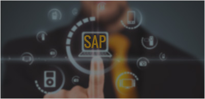 SAP<sup>&reg;</sup> Business Solutions  : Free Live Webinar
